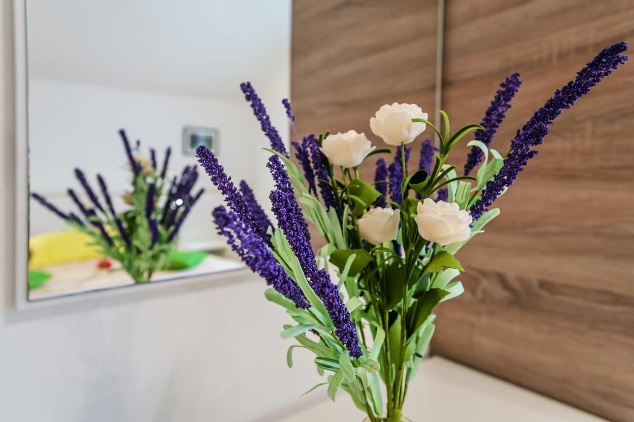Apartmani Nena Zadar Dış mekan fotoğraf